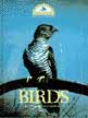 birds.jpg (3126 bytes)